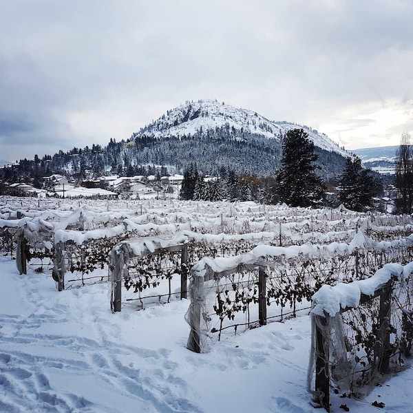 snow, winter, sky, freezing, mountain, wilderness