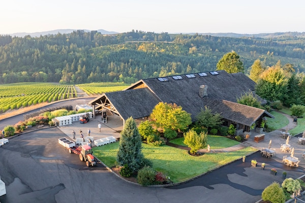 estate, restaurant, landscaping, eco hotel, driveway