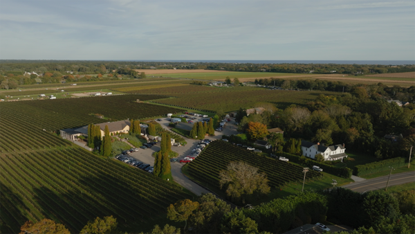 landscape, bird's-eye view, plain, land lot, aerial photography, plantation
