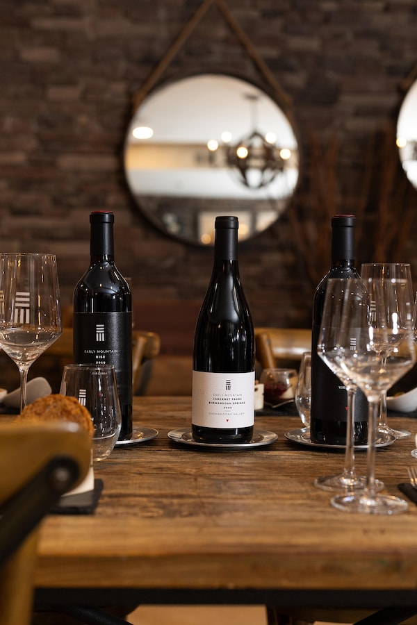 tableware, stemware, drinkware, alcoholic drink, barware, wine glass