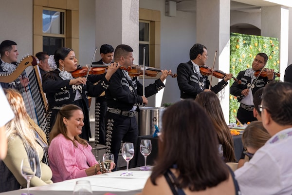 musical instrument, string instrument, chordophone, musical ensemble, music, performing arts