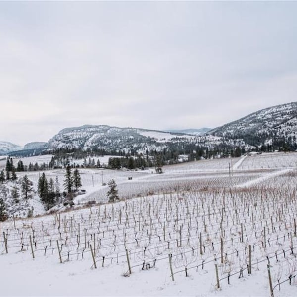 winter, snow, hill, freezing, mountain range, hill station