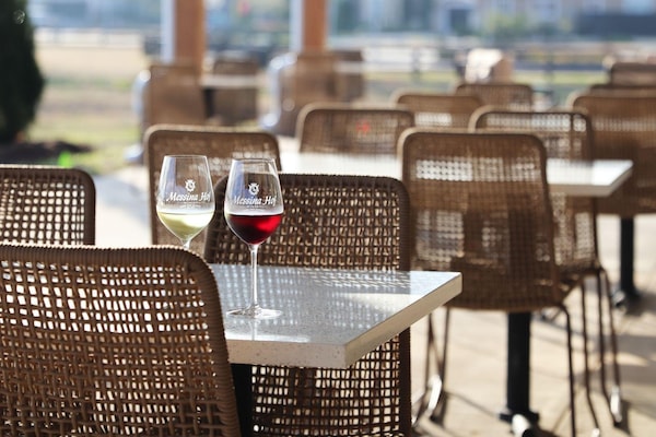 drinkware, stemware, tableware, table, chair, wine glass