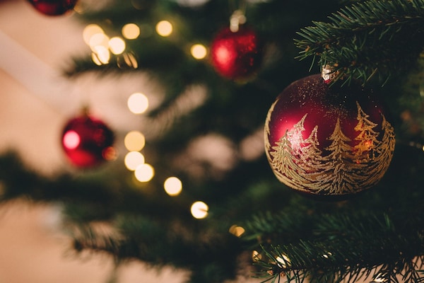 christmas ornament, christmas, christmas tree, christmas decoration, tree, ornament