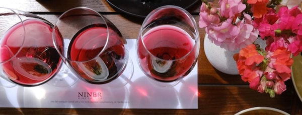 stemware, tableware, drinkware, red, wine glass, glass