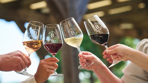 stemware, tableware, drinkware, wine glass, alcoholic drink, barware