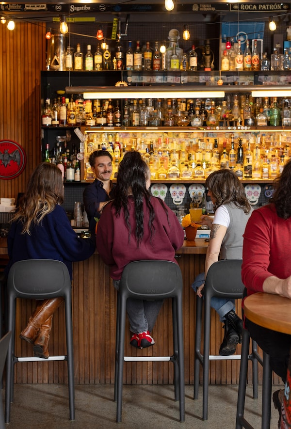 alcoholic drink, bar, bottle, liquor, barware, pub