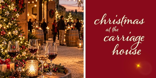 christmas decoration, red, christmas day, event, lighting, christmas lights