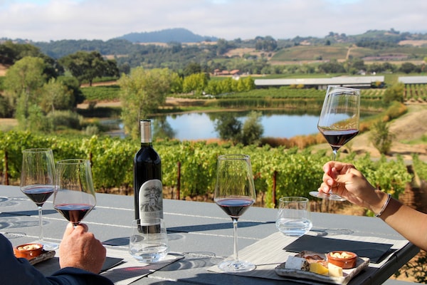 agriculture, hill station, plantation, wine, field, stemware
