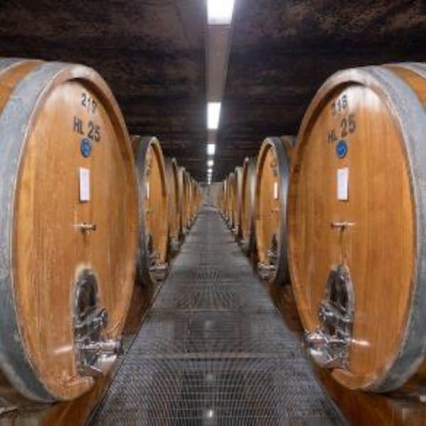 barrel, winery, wine cellar, brewery, hardwood, mass production