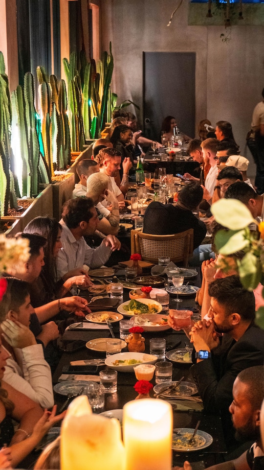tableware, food, table, furniture, drinkware, dishware