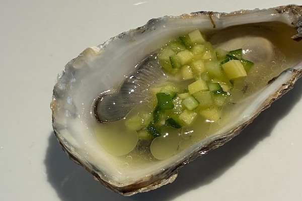food, oyster, ingredient, bivalvia, seafood, shellfish