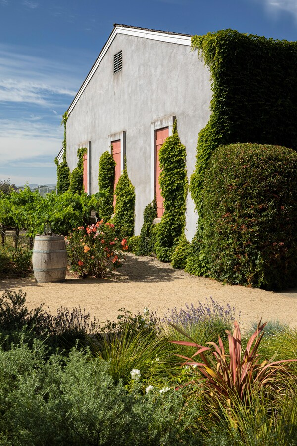 house, property, vegetation, grass, sky, natural landscape