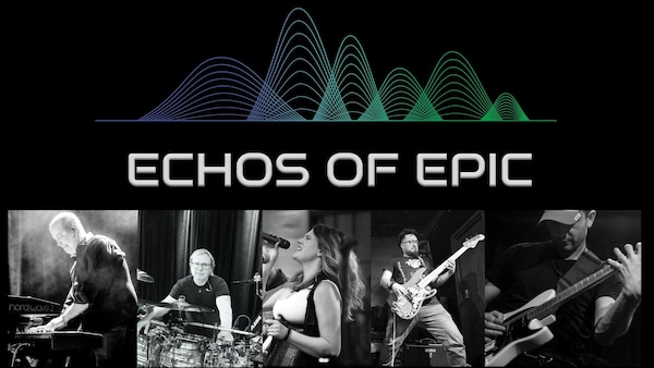 band plays, musical instrument, string instrument, guitar, string instrument, guitarist