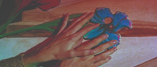 petal, paint, art paint, modern art, creative arts, cut flowers