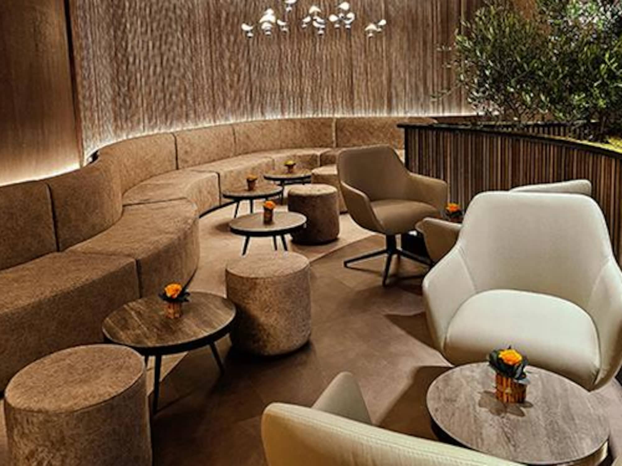 #5 of 5 images of Scanderbeg VIP Lounge