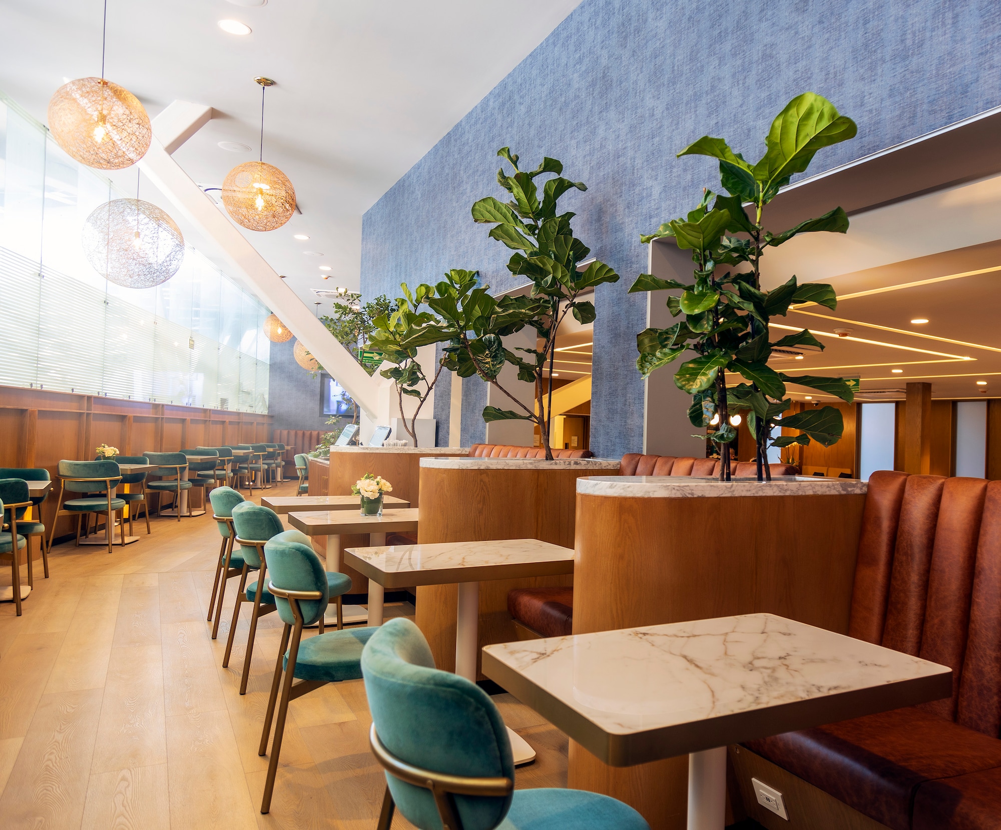 #1 of 5 images of The Centurion Lounge