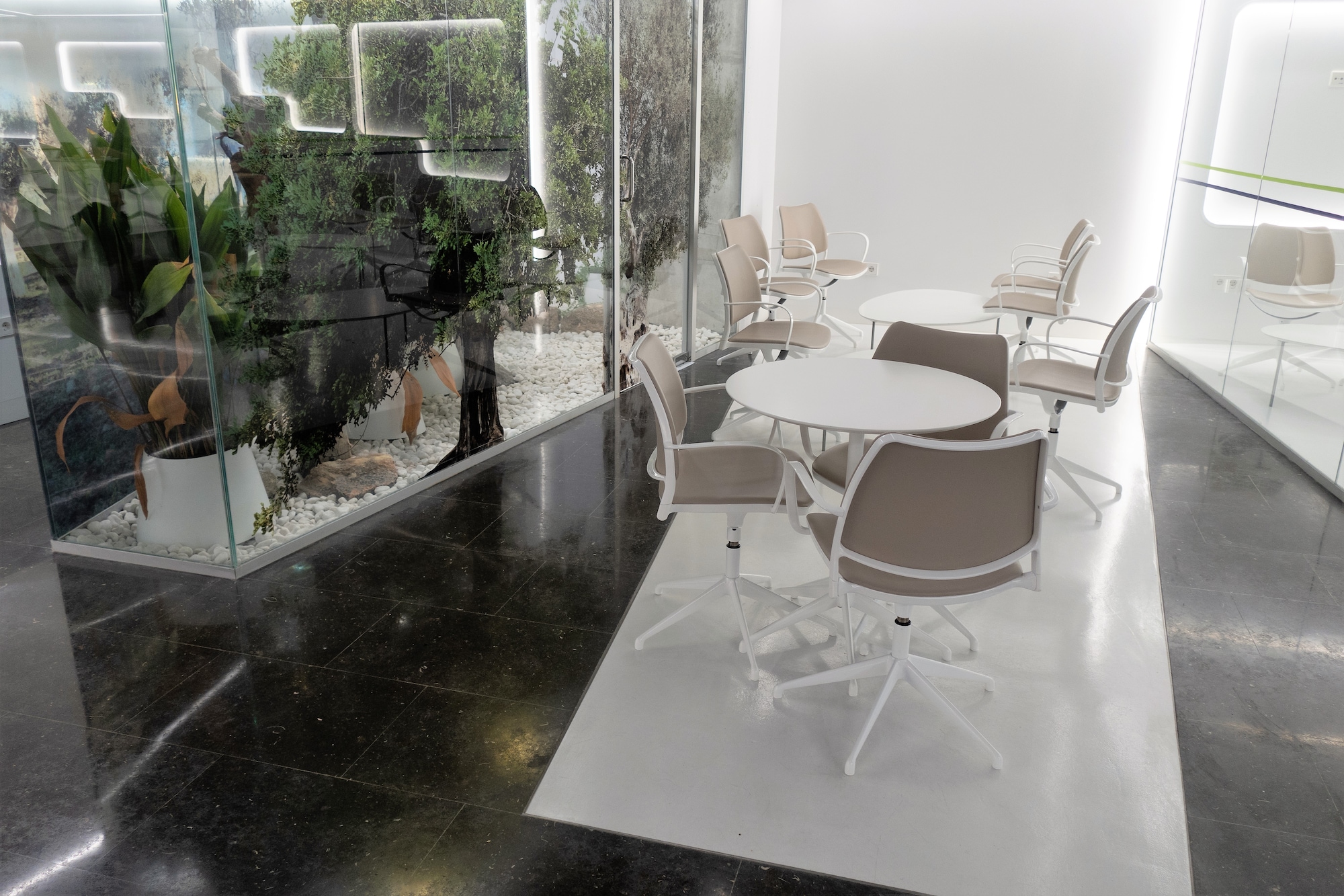 #1 of 5 images of Sala VIP Formentor (Temporarily Closed)