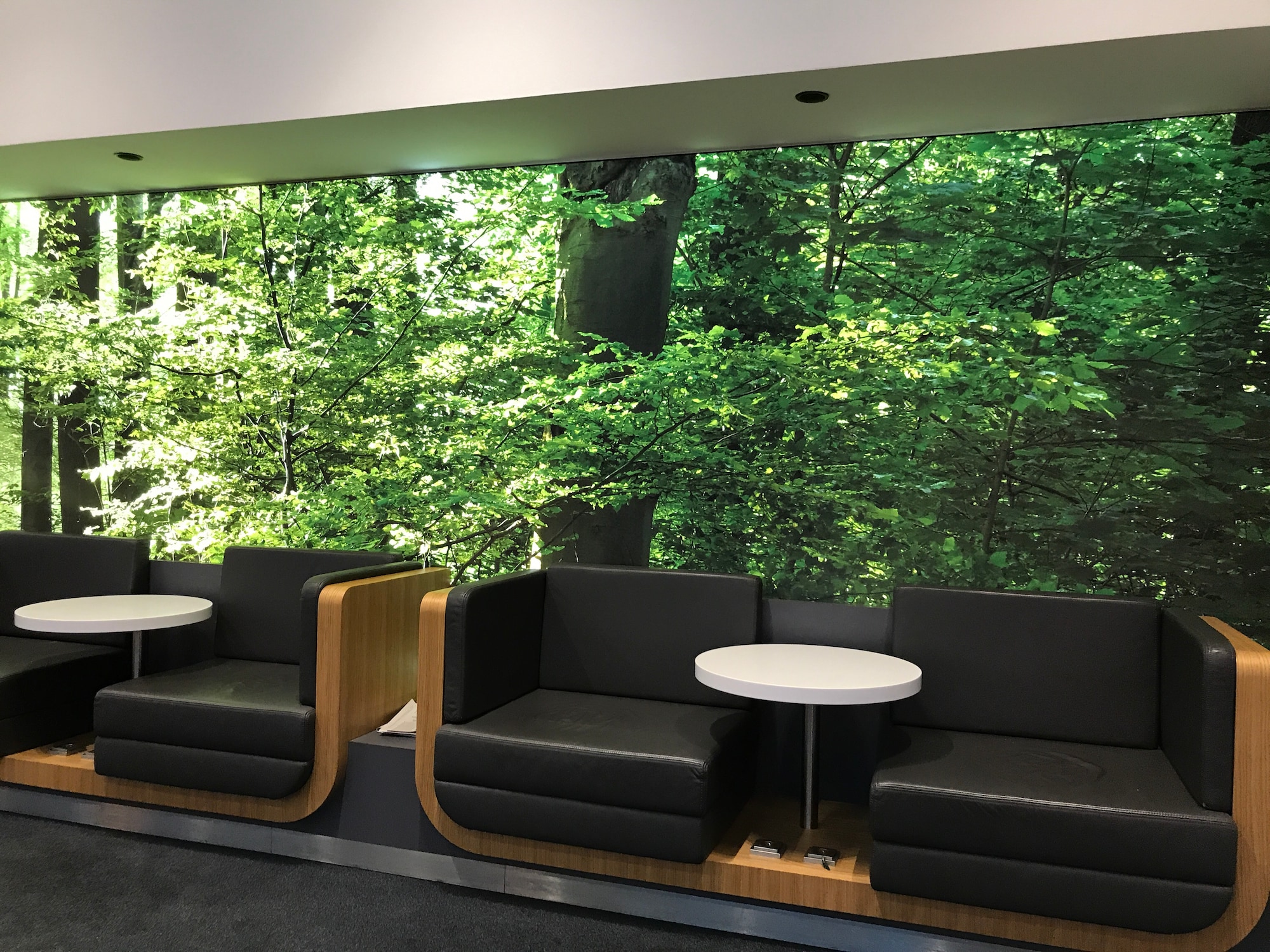 #1 of 5 images of Lufthansa Senator Lounge (Schengen)